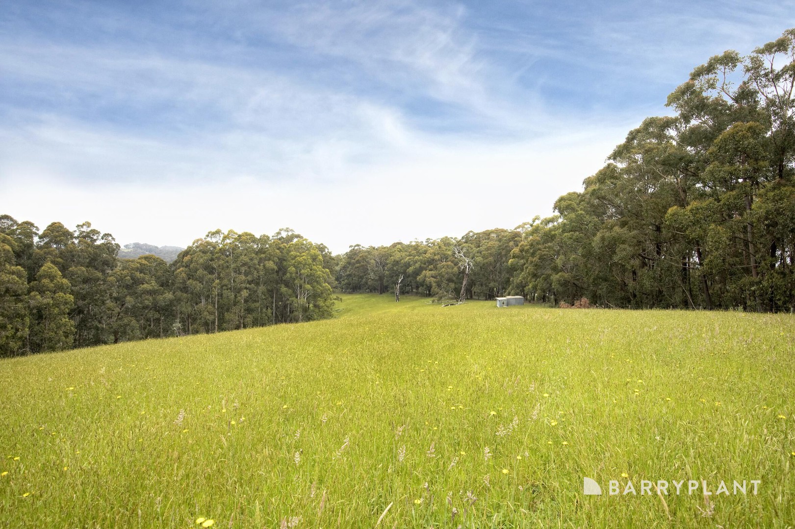 220 Mount Eirene Road, Gembrook, VIC 3783, Gembrook - Thumbnail 3
