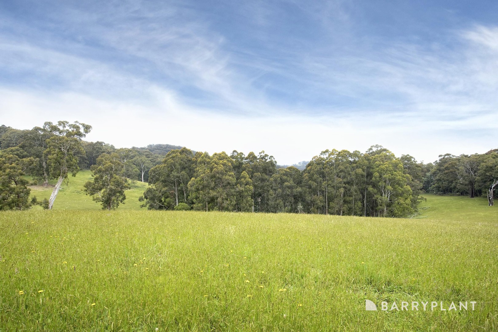 220 Mount Eirene Road, Gembrook, VIC 3783, Gembrook - Thumbnail 4
