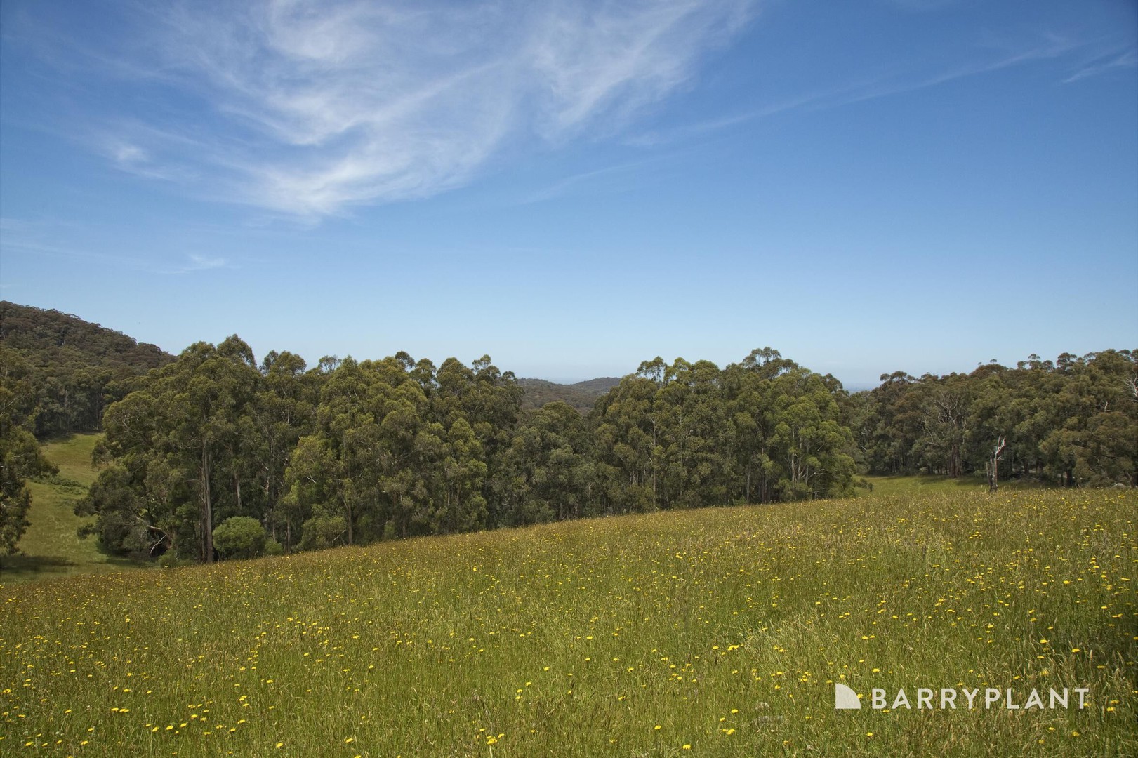220 Mount Eirene Road, Gembrook, VIC 3783, Gembrook - Thumbnail 5
