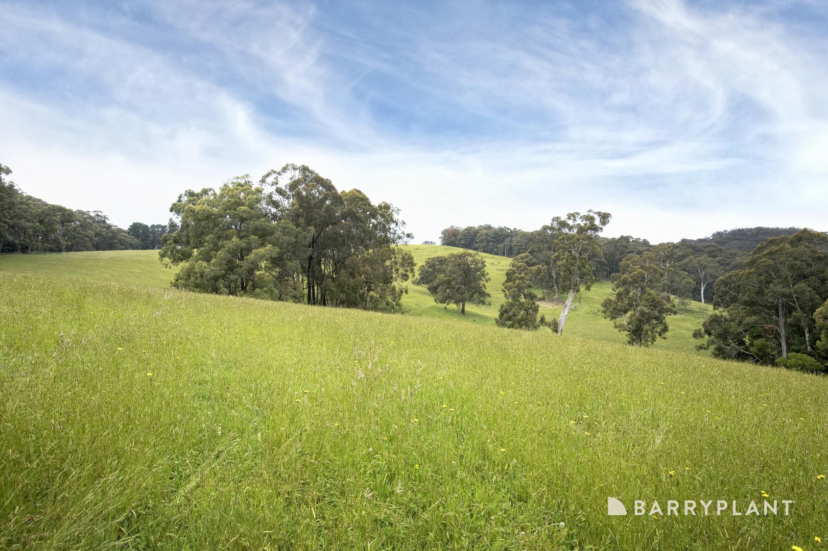 220 Mount Eirene Road, Gembrook, VIC 3783, Gembrook - Thumbnail 7