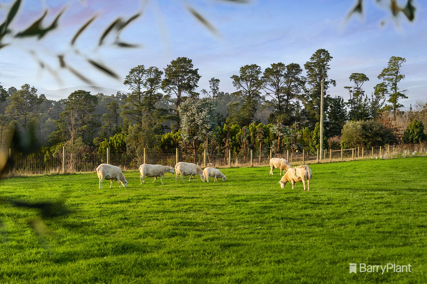 225 Queens Road, Wandin North, VIC 3139, Wandin North - Thumbnail 5