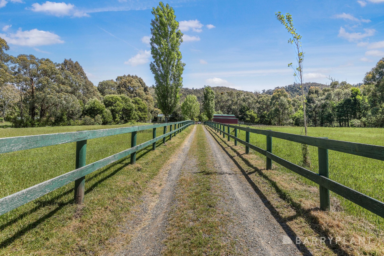 2269 Melba Highway, Dixons Creek, VIC 3775, Dixons Creek - Thumbnail 3