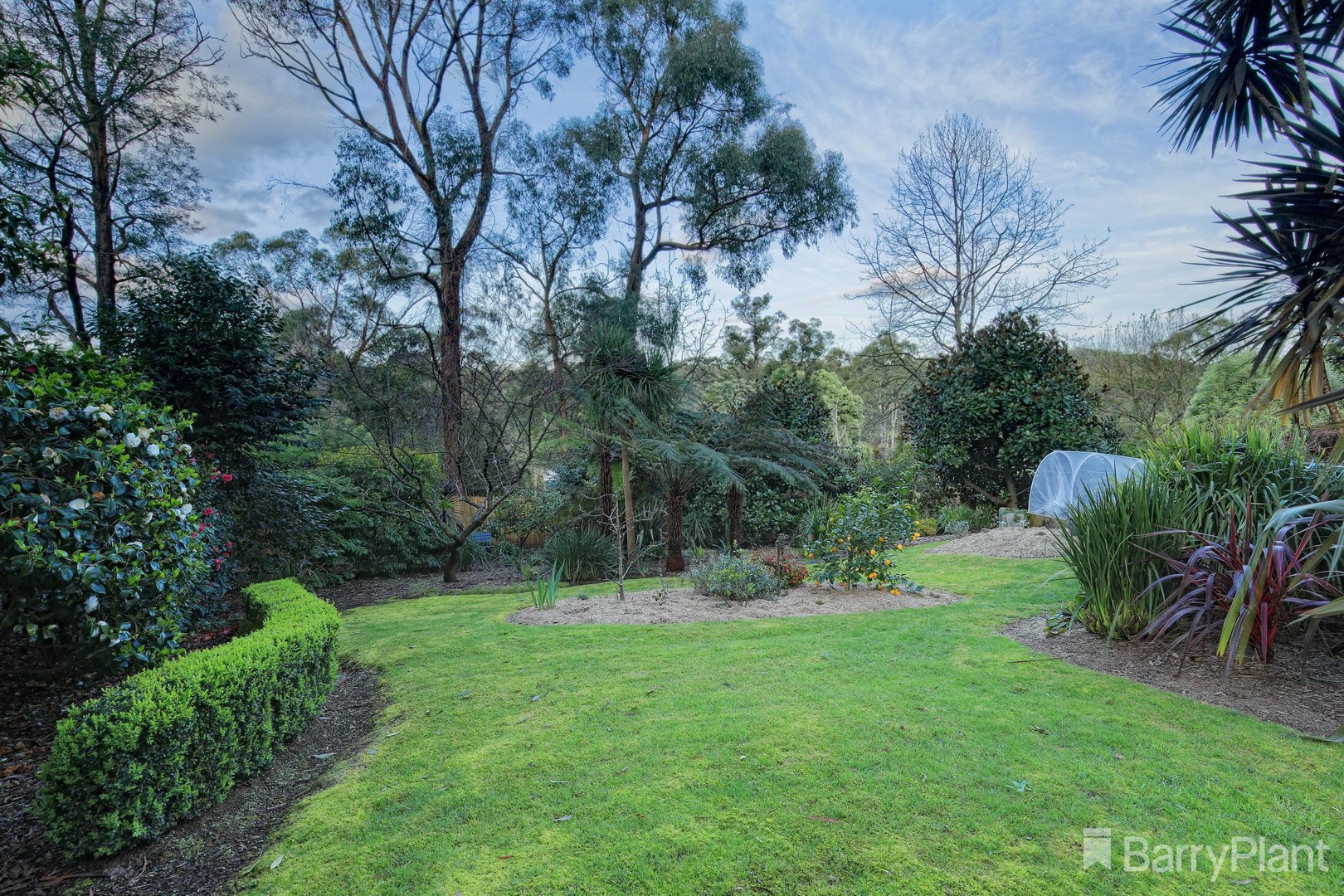 23 Hazel Street, Cockatoo, VIC 3781, Cockatoo - Thumbnail 5