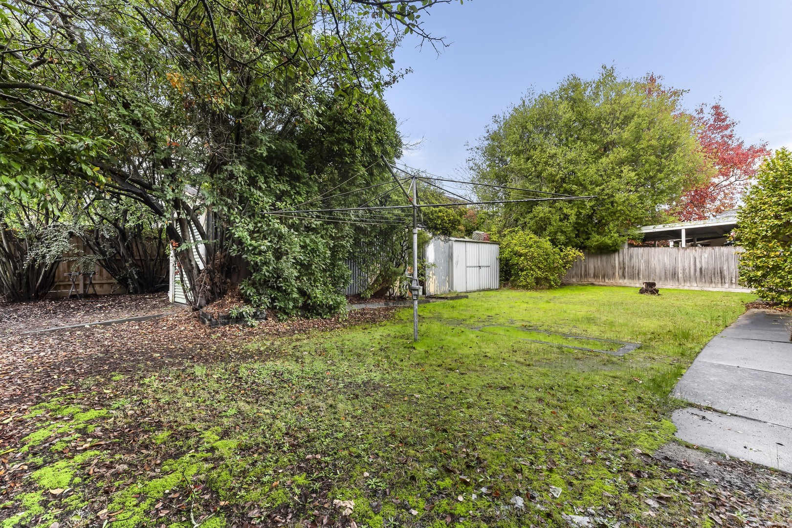 23 Jarma Road, Heathmont, VIC 3135, Heathmont - Thumbnail 8