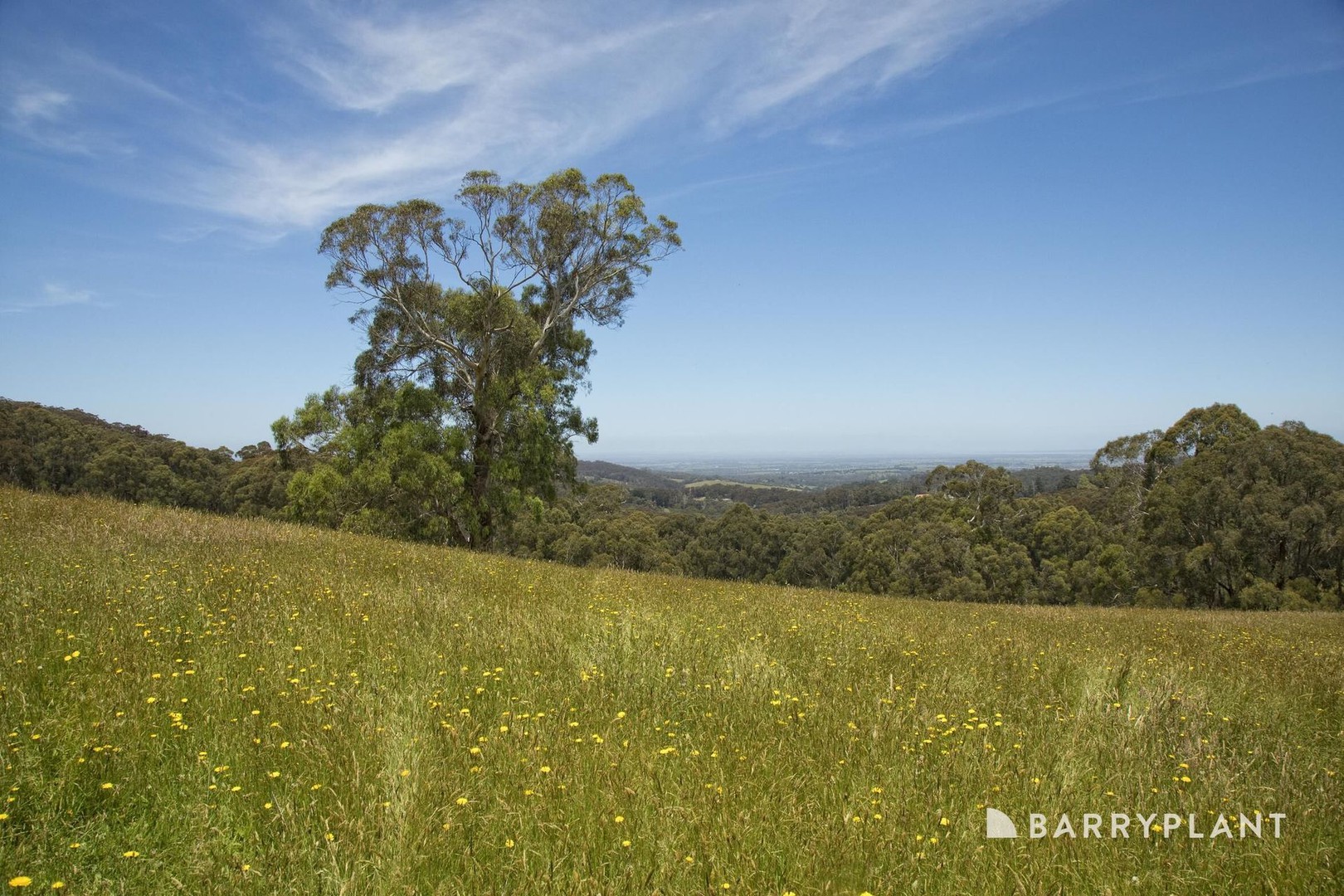 230 Mount Eirene Road, Gembrook, VIC 3783, Gembrook - Thumbnail 4