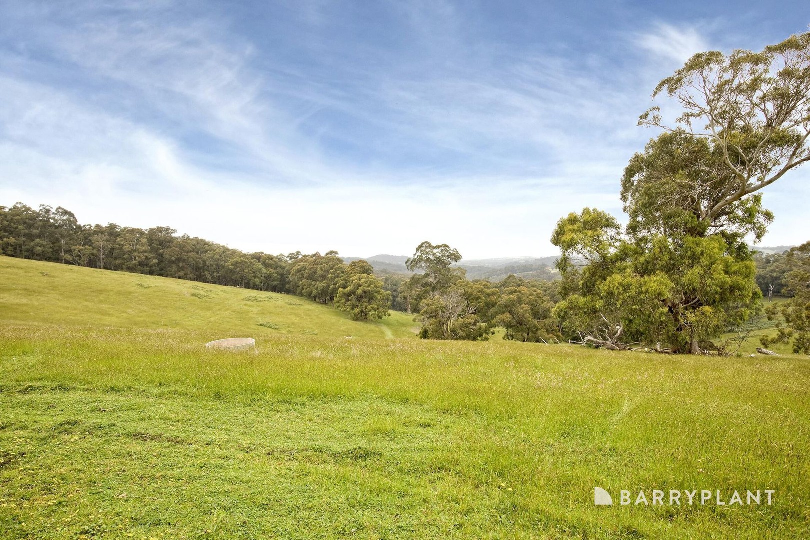 230 Mount Eirene Road, Gembrook, VIC 3783, Gembrook - Thumbnail 6