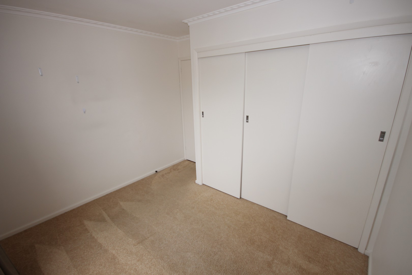 232 West Fyans Street, Newtown, VIC 3220, Newtown - Thumbnail 6