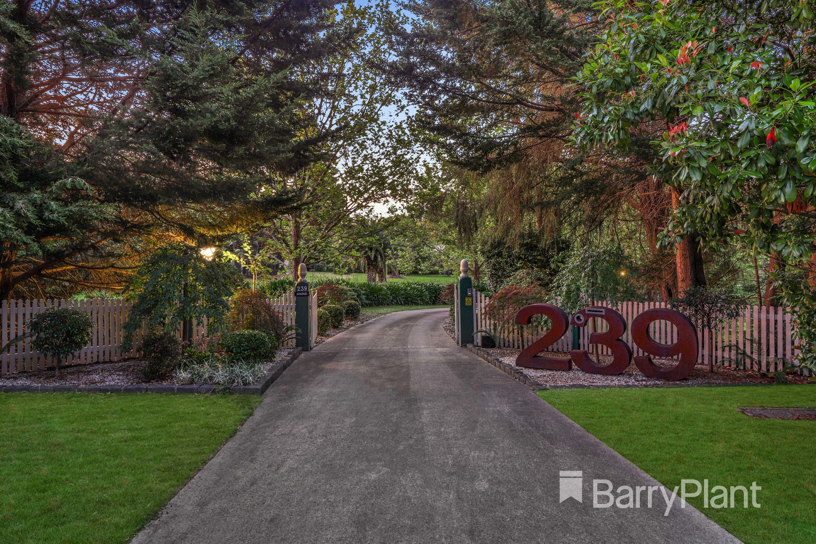 239 Sheffield Road, Montrose, VIC 3765, Montrose - Thumbnail 3