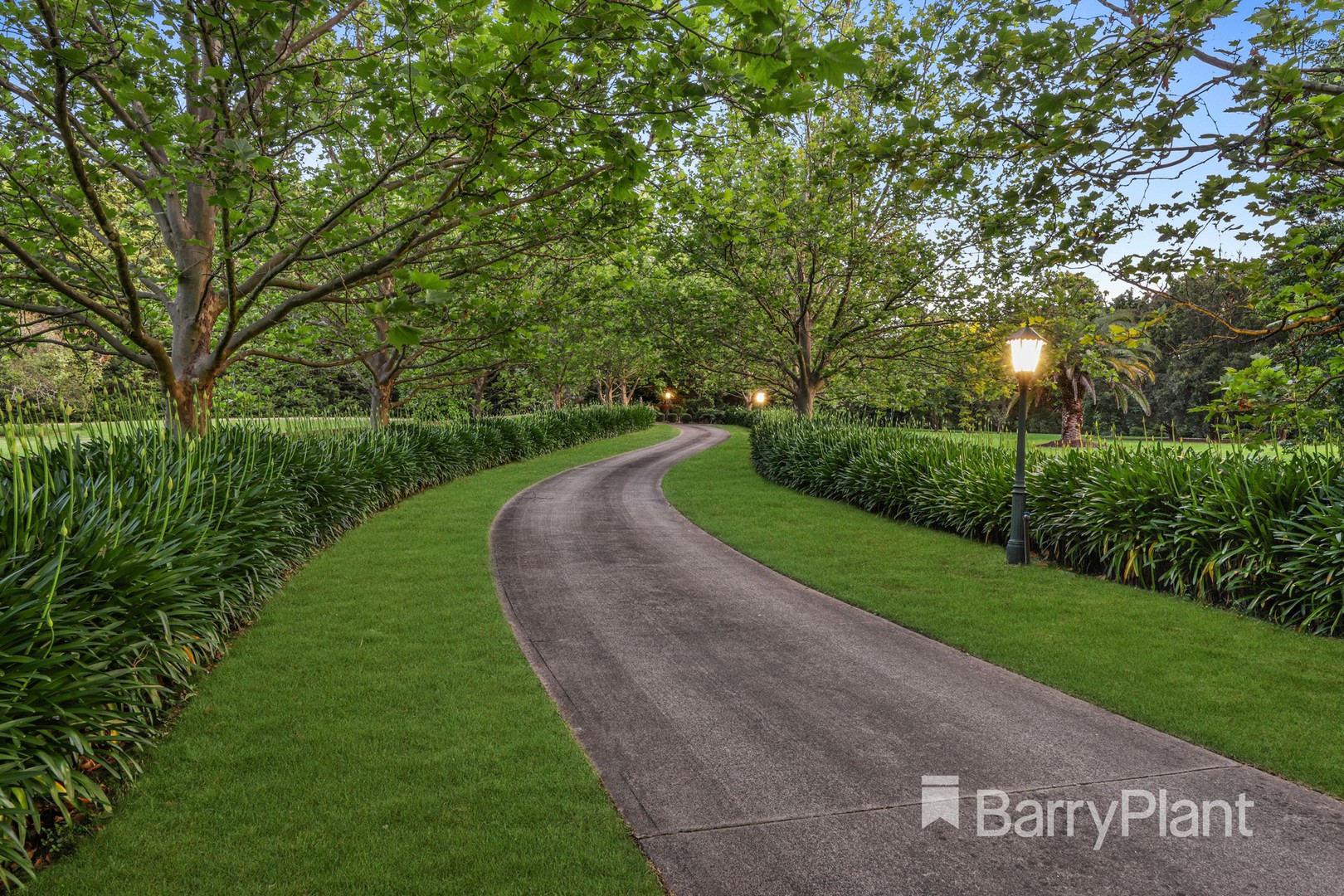 239 Sheffield Road, Montrose, VIC 3765, Montrose - Thumbnail 4