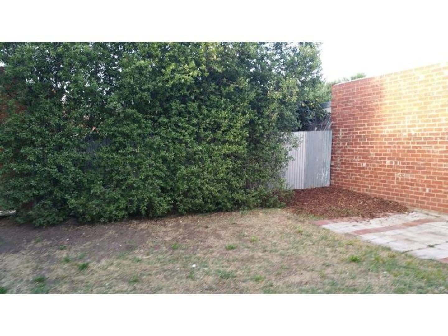 23A Centennial Avenue, Brunswick, VIC 3056, Brunswick - Thumbnail 6