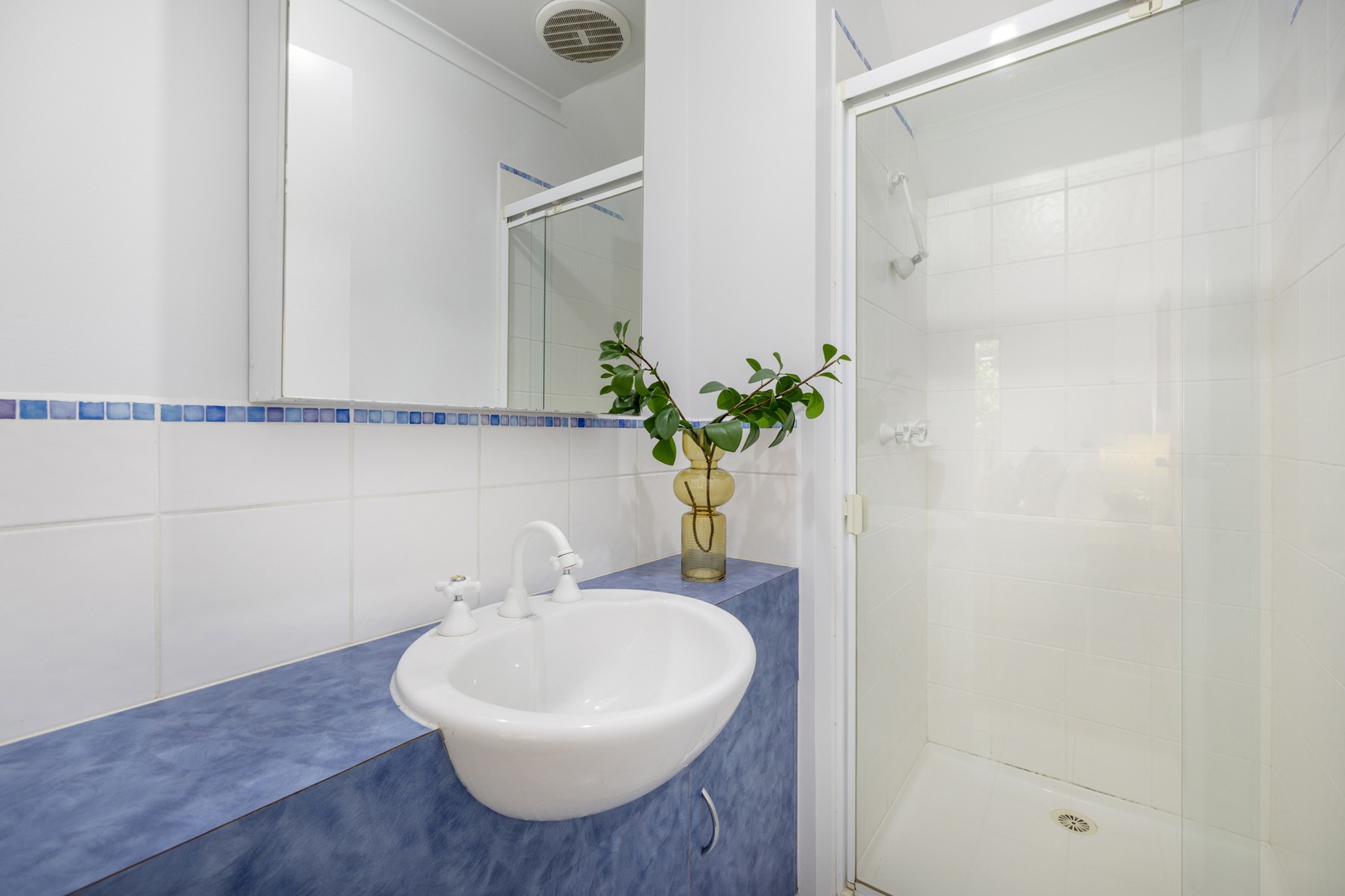 24/3 Ashley Street, Wantirna, VIC 3152, Wantirna - Thumbnail 3
