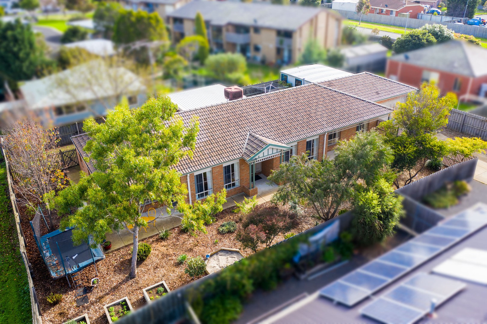 24 Bellagio Court, Whittington, VIC 3219, Whittington - Thumbnail 2