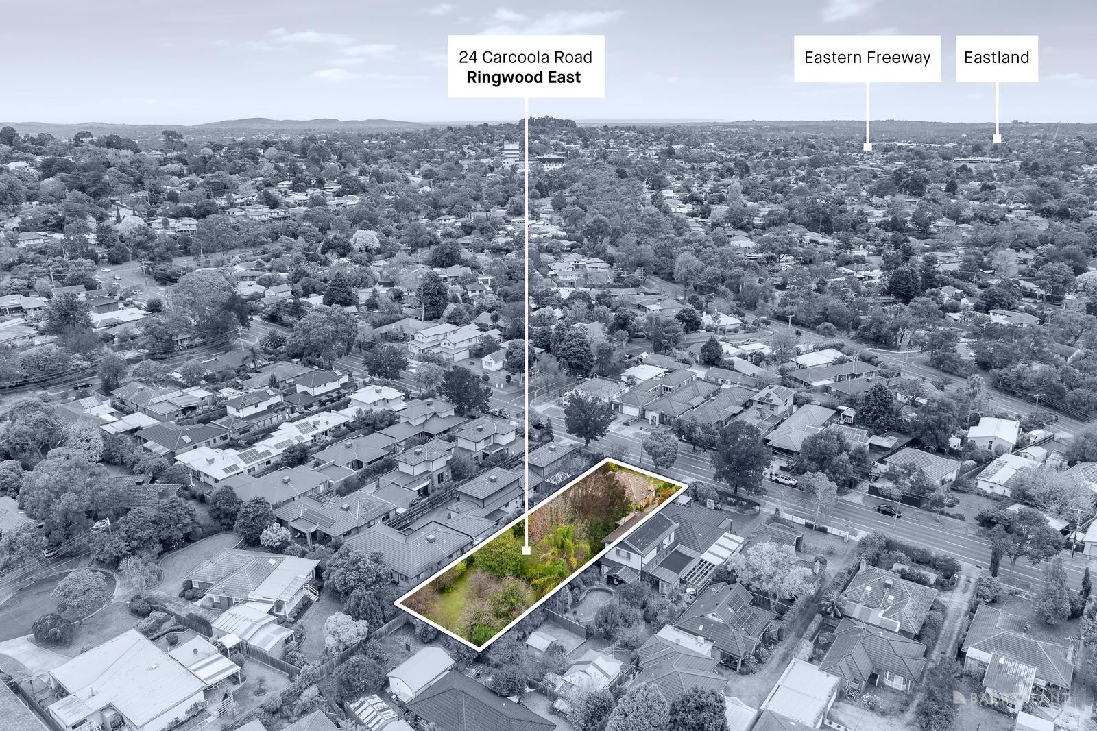 24 Carcoola Road, Ringwood East, VIC 3135, Ringwood East - Thumbnail 6