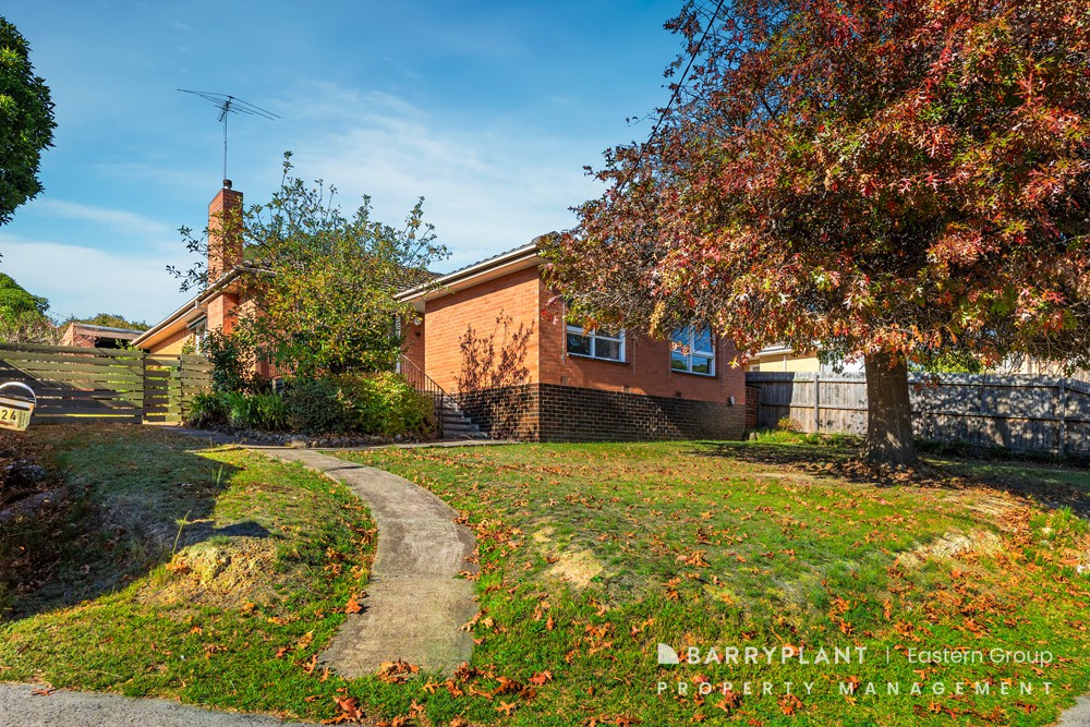 24 Dryden Street, Doncaster East, VIC 3109, Doncaster East - Thumbnail 5