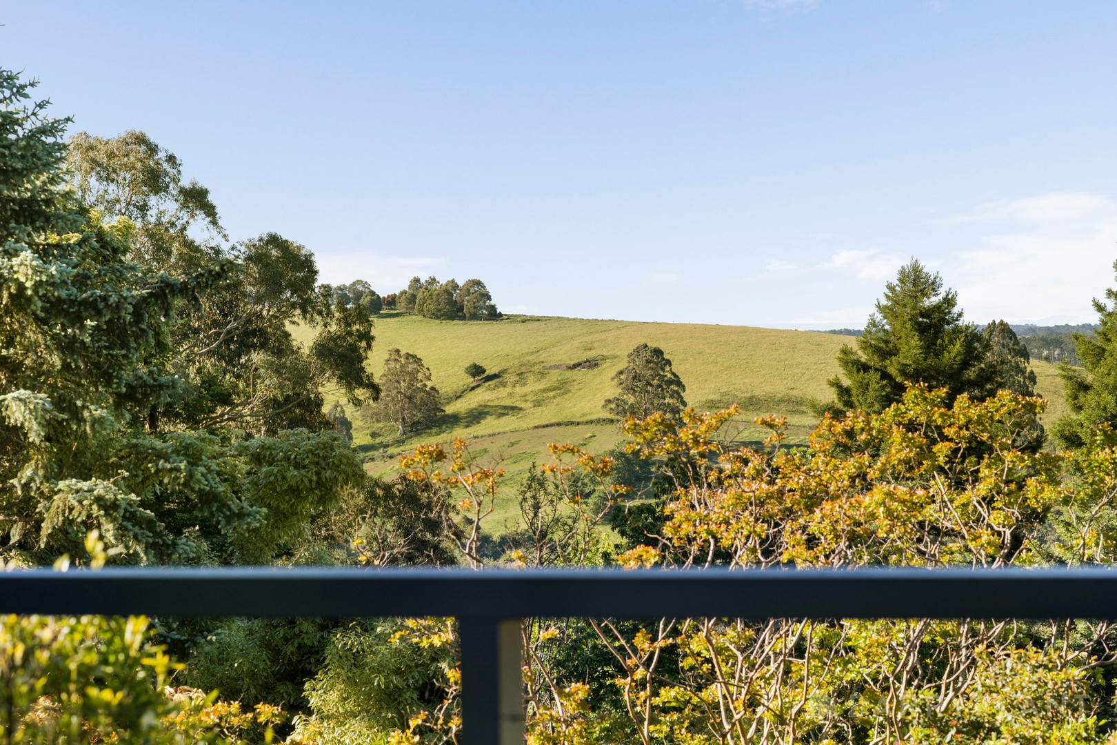 24 Pinnocks Road, Emerald, VIC 3782, Emerald - Thumbnail 3