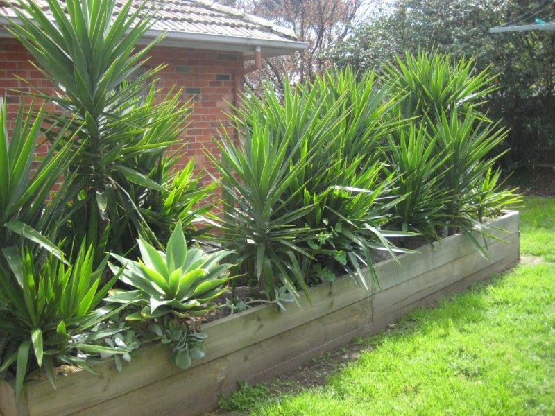 24 Vale Street, Mornington, VIC 3931, Mornington - Thumbnail 5
