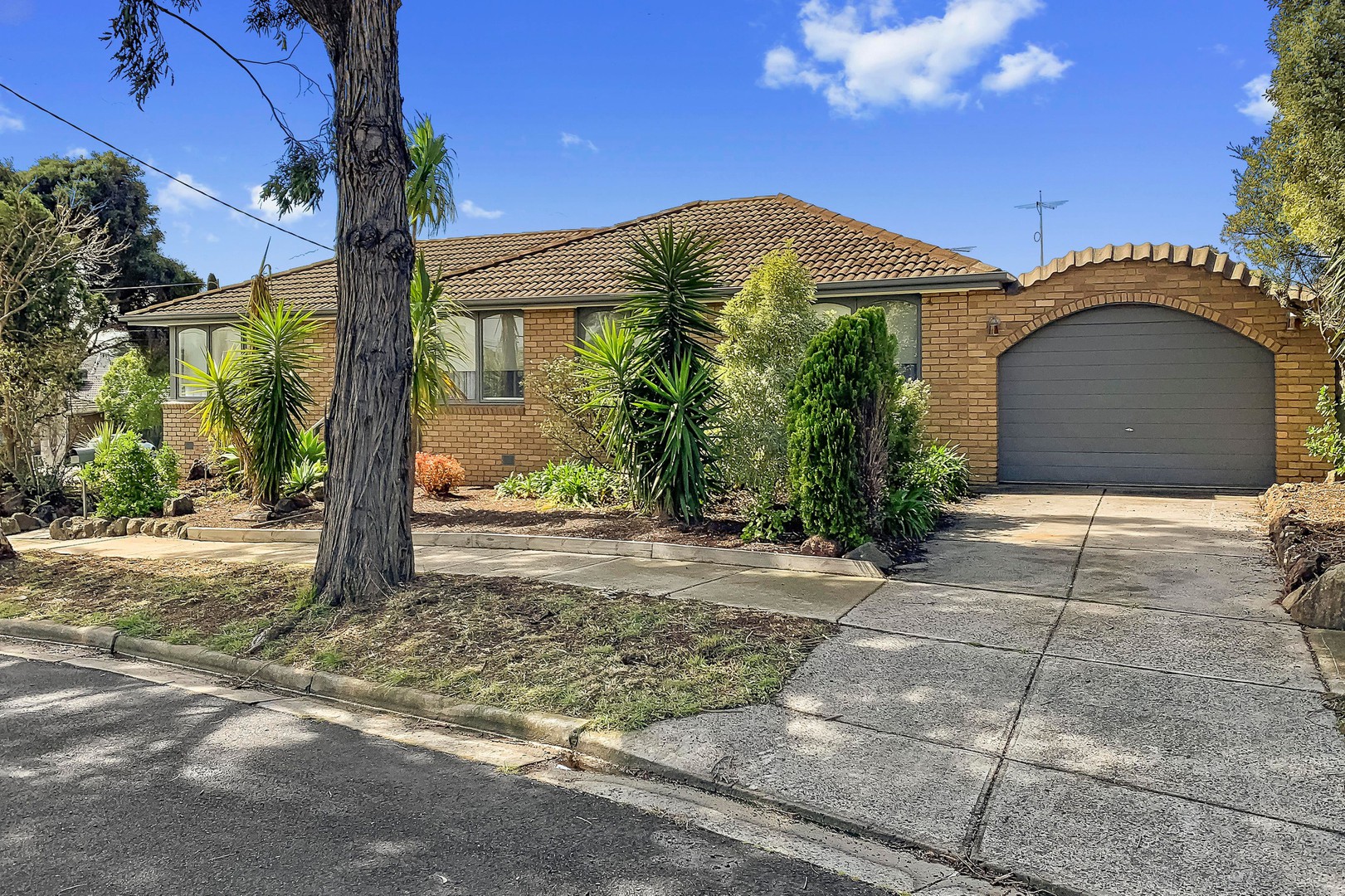 24 Wiltshire RoadGladstone Park, VIC 3043, Gladstone Park - Thumbnail 5
