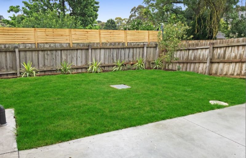 24 Winton Street, Burwood, VIC 3125, Burwood - Thumbnail 6