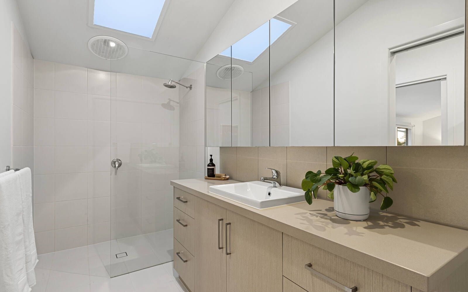 241 Noble Street, Newtown, VIC 3220, Newtown - Thumbnail 7