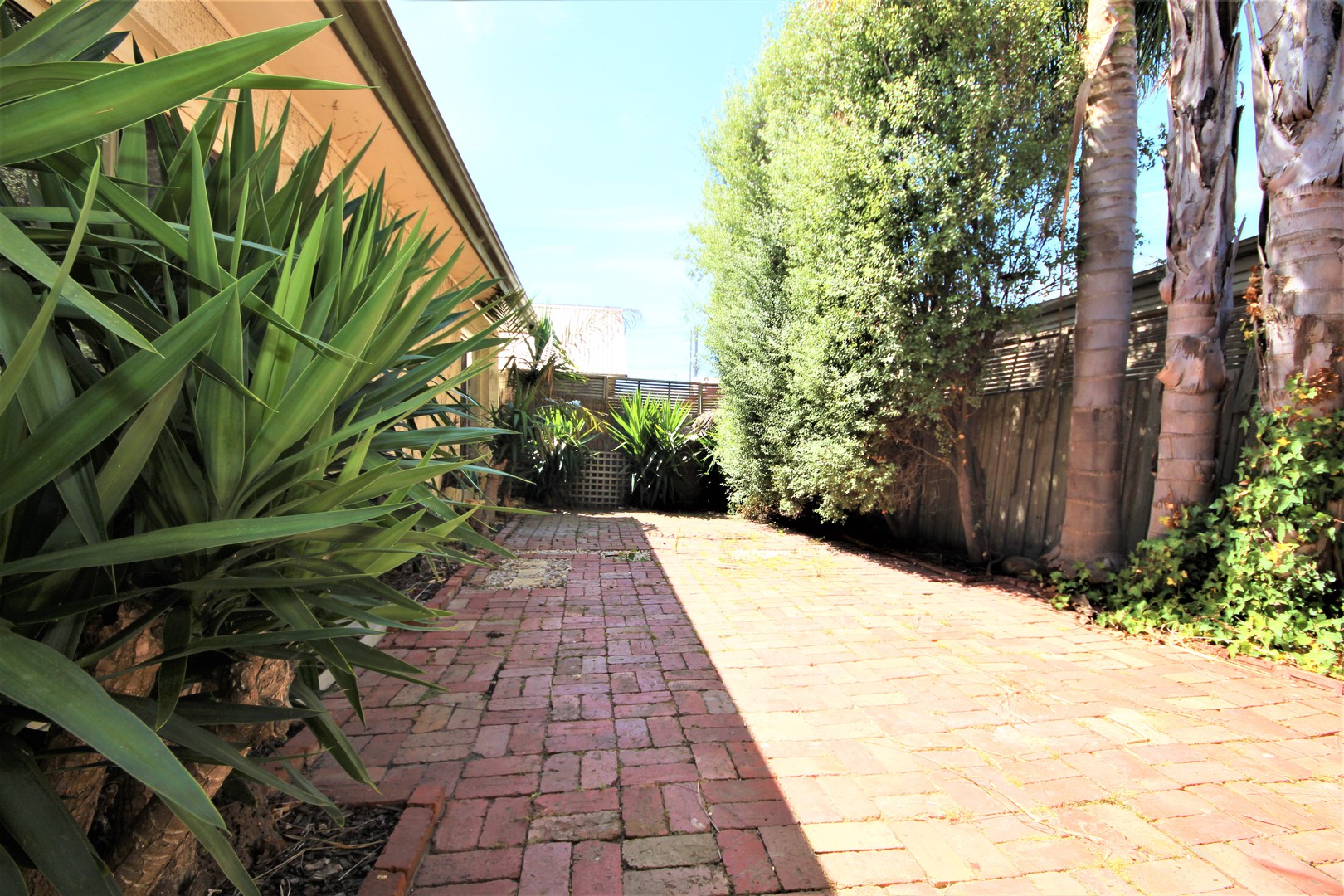 24A Catherine Street, Geelong West, VIC 3218, Geelong West - Thumbnail 8