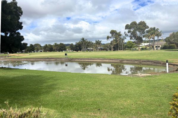 25 Lakeview Drive, Safety Beach, VIC 3936, Safety Beach - Thumbnail 7
