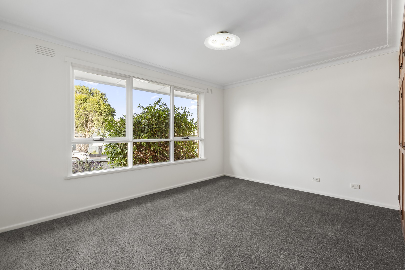 26 Hamlyn Avenue, Hamlyn Heights, VIC 3215, Hamlyn Heights - Thumbnail 8