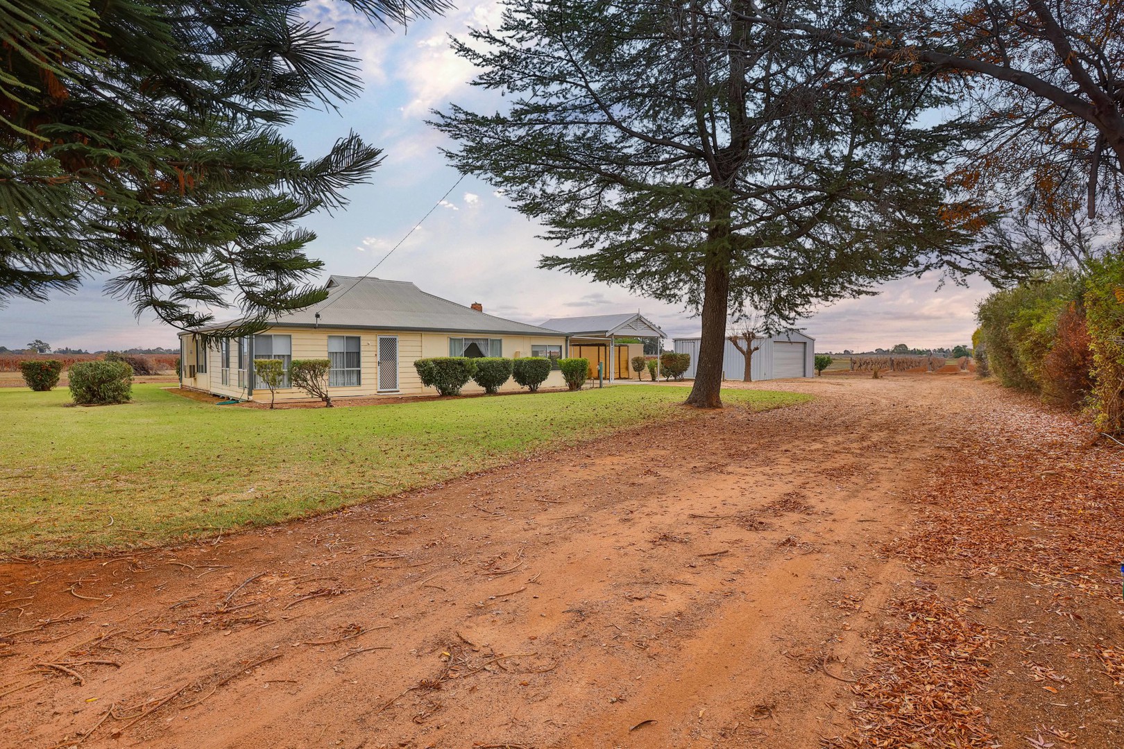 26 Milne Road, Red Cliffs, VIC 3496, Red Cliffs - Thumbnail 2