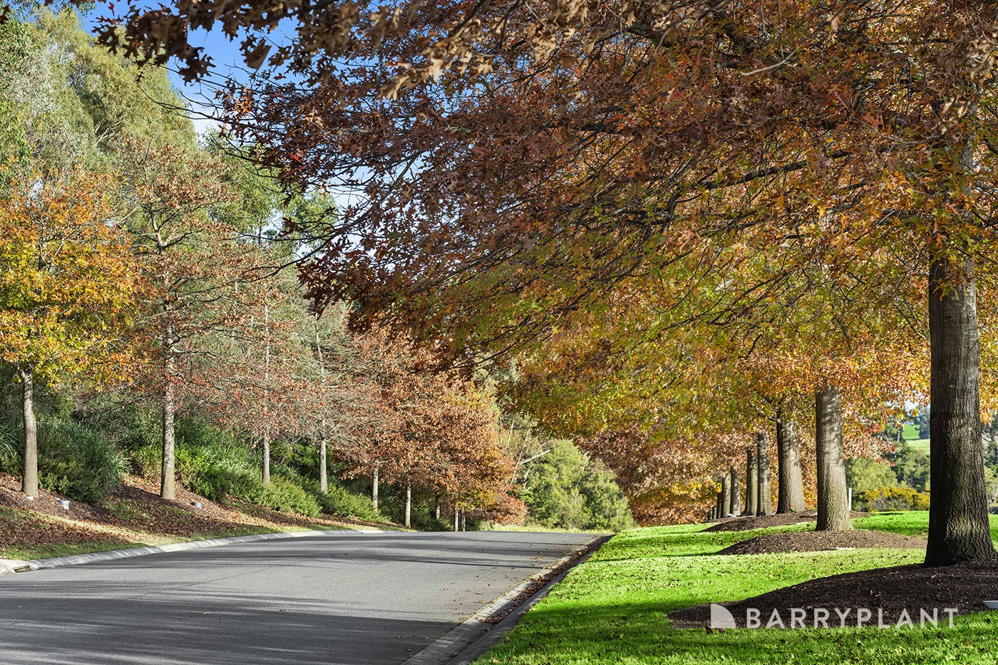 27 Henley Bridge Road, Chirnside Park, VIC 3116, Chirnside Park - Thumbnail 3