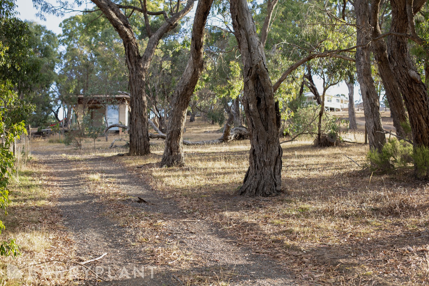 270 Kilmore East Road, Kilmore East, VIC 3764 - Thumbnail 1 - 23/01/2026