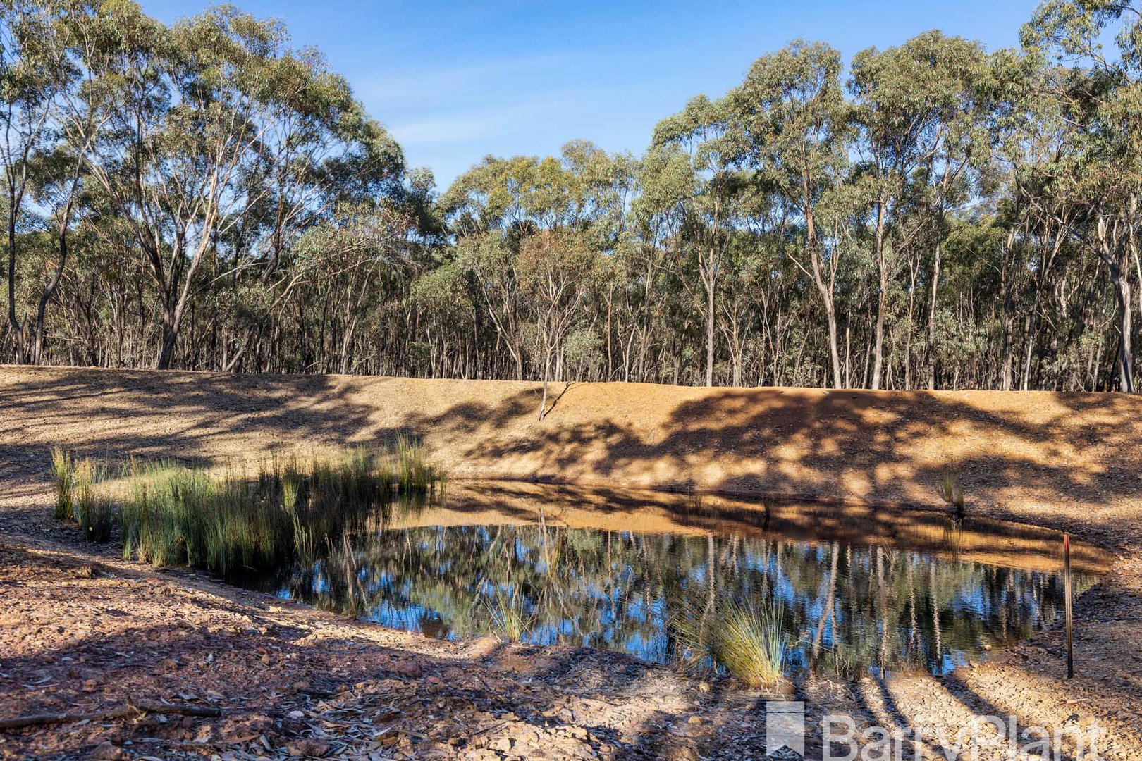 278 Glenisters Gap Road, Navarre, VIC 3384, Navarre - Thumbnail 4