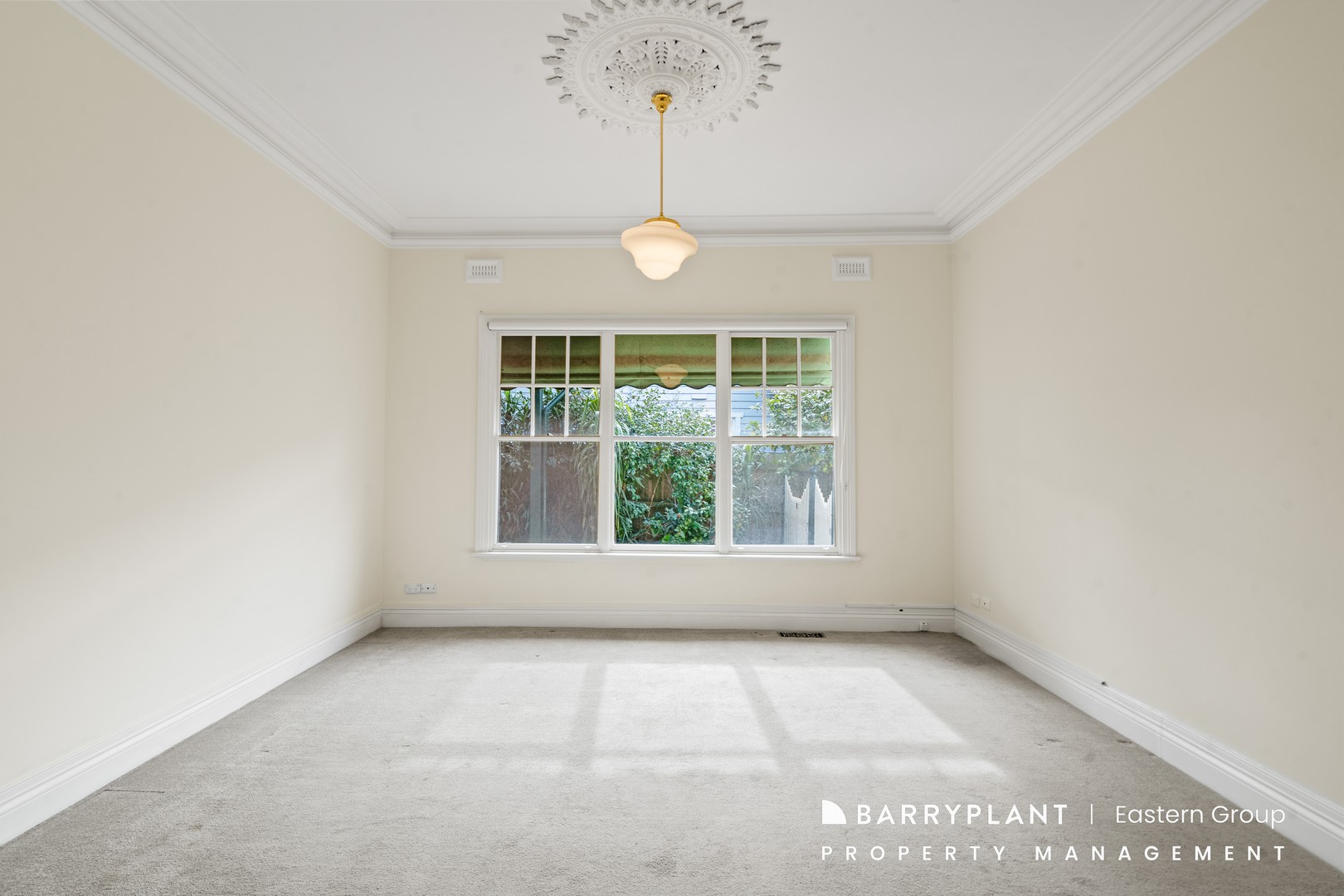 28 Acacia Street, Box Hill, VIC 3128, Box Hill - Thumbnail 7