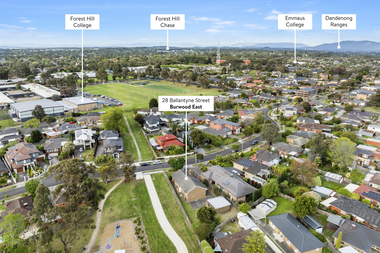 28 Ballantyne Street, Burwood East, VIC 3151, Burwood East - Thumbnail 3