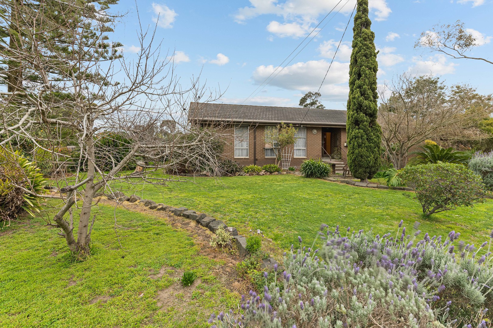 28 Dunkinson Street, Narre Warren, VIC 3805, Narre Warren - Thumbnail 3