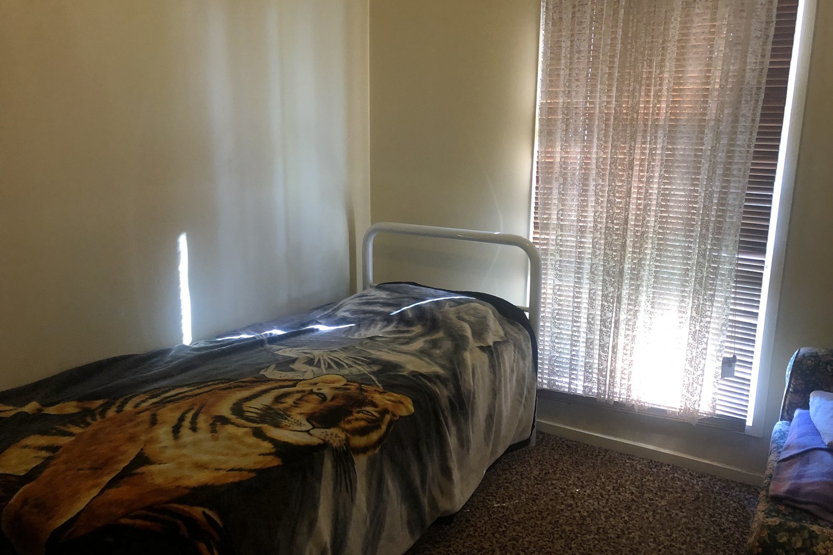 28 Kennedy Street, Robinvale, VIC 3549, Robinvale - Thumbnail 4