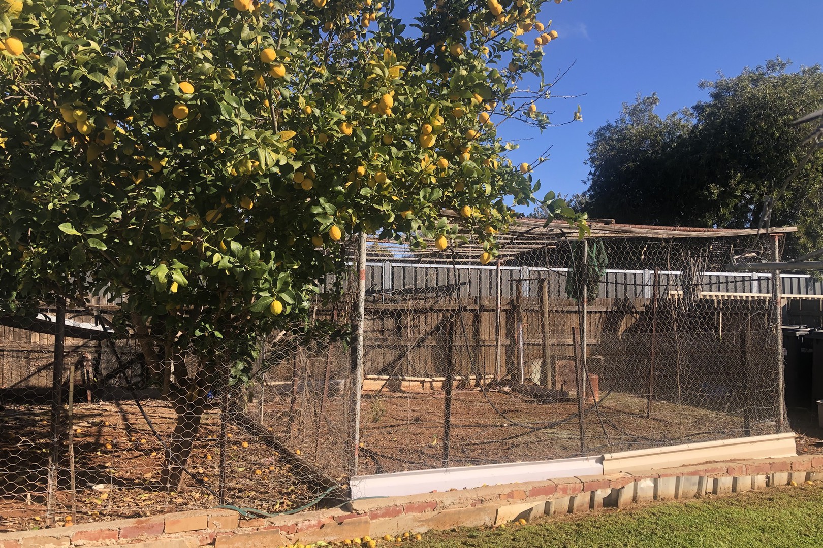 28 Kennedy Street, Robinvale, VIC 3549, Robinvale - Thumbnail 8