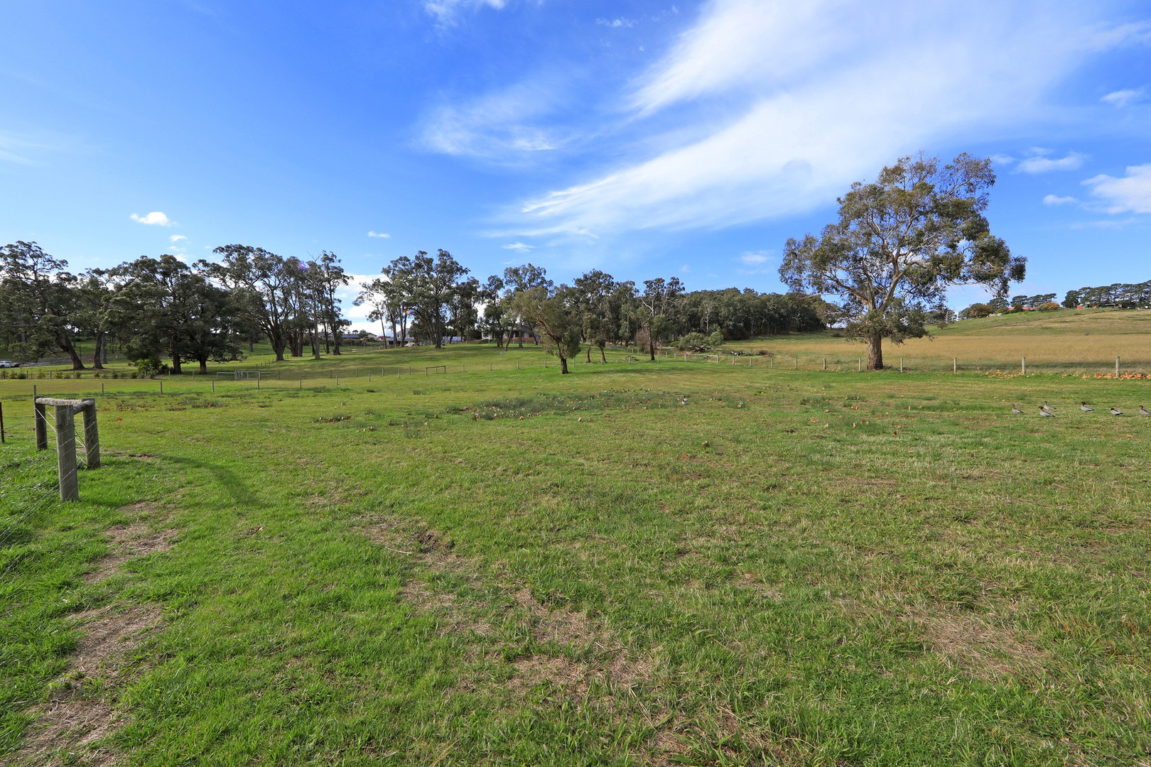 28 Sherwood Way, Lysterfield, VIC 3156, Lysterfield - Thumbnail 5