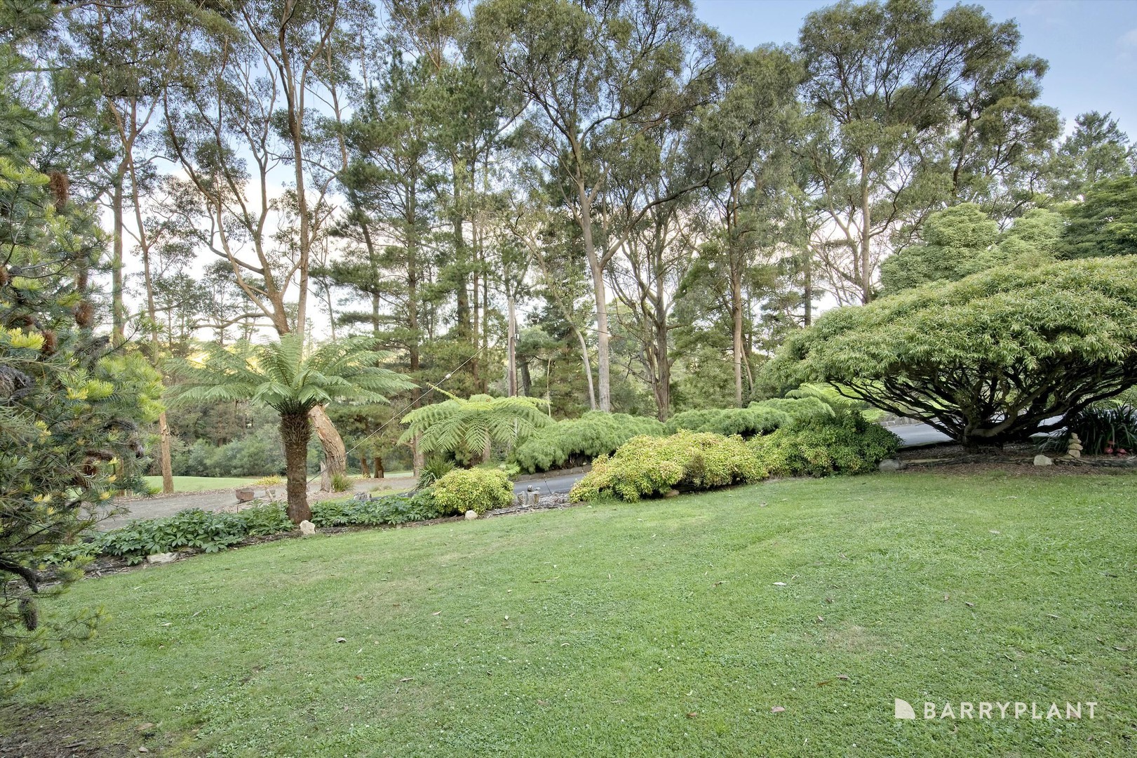 28 Sycamore Avenue, Emerald, VIC 3782, Emerald - Thumbnail 4