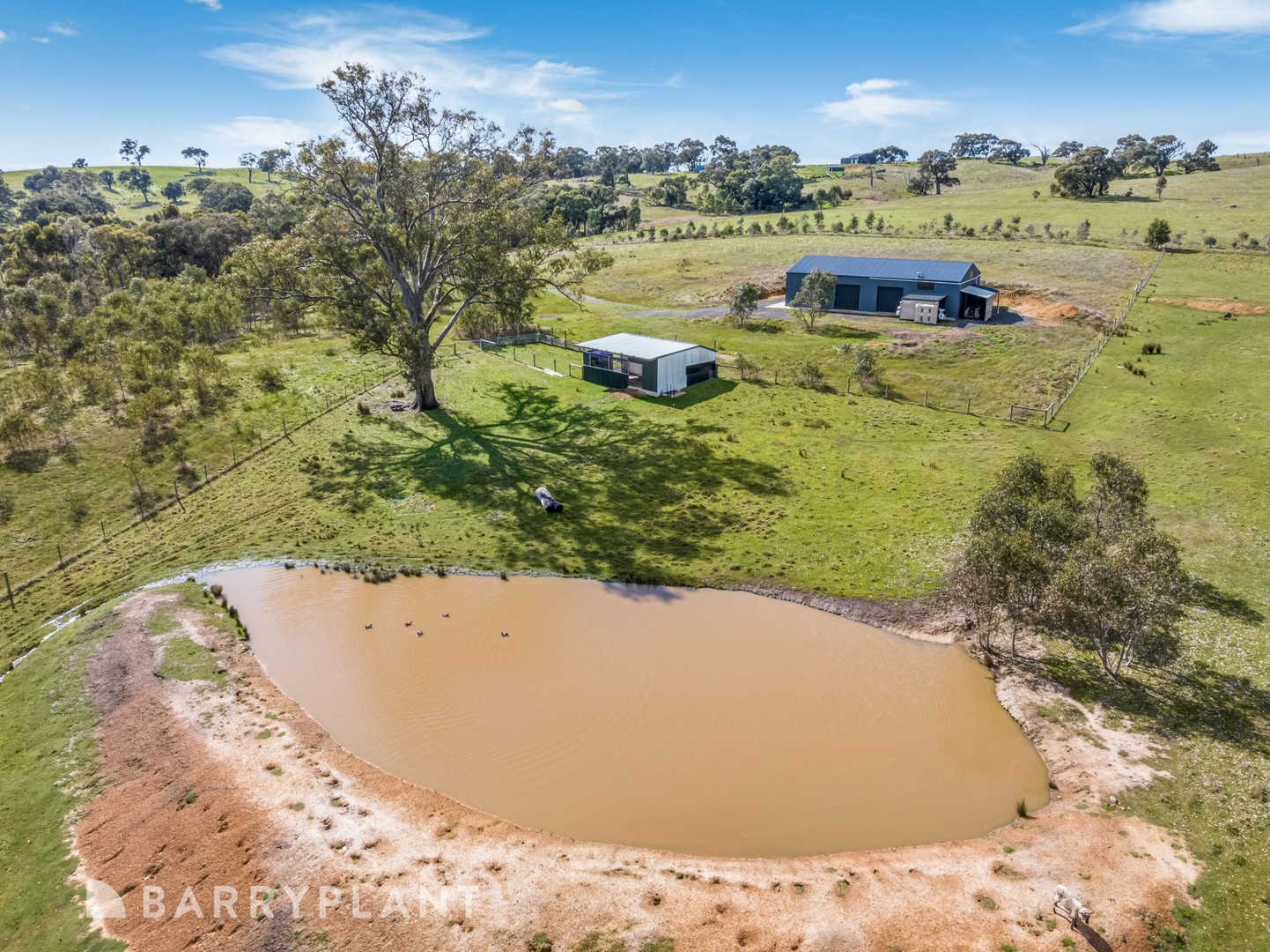 2860 Hogans Lane, Glenaroua, VIC 3764, Glenaroua - Thumbnail 3