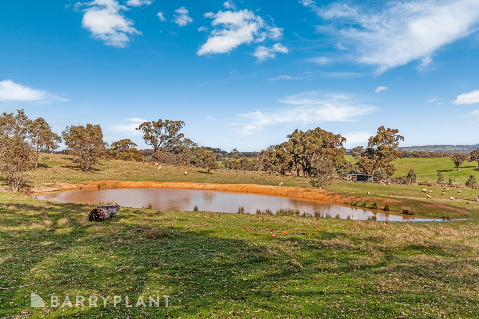 2860 Hogans Lane, Glenaroua, VIC 3764, Glenaroua - Thumbnail 8