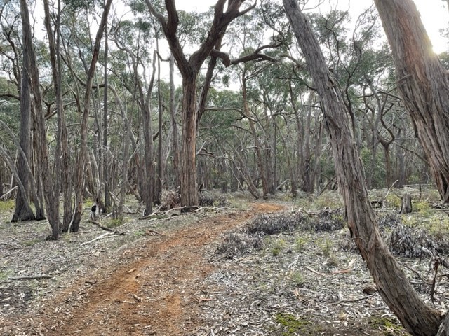 28E Davies Road, Meredith, VIC 3333, Meredith - Thumbnail 5