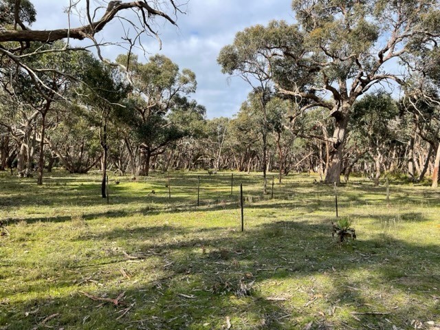 28E Davies Road, Meredith, VIC 3333, Meredith - Thumbnail 6