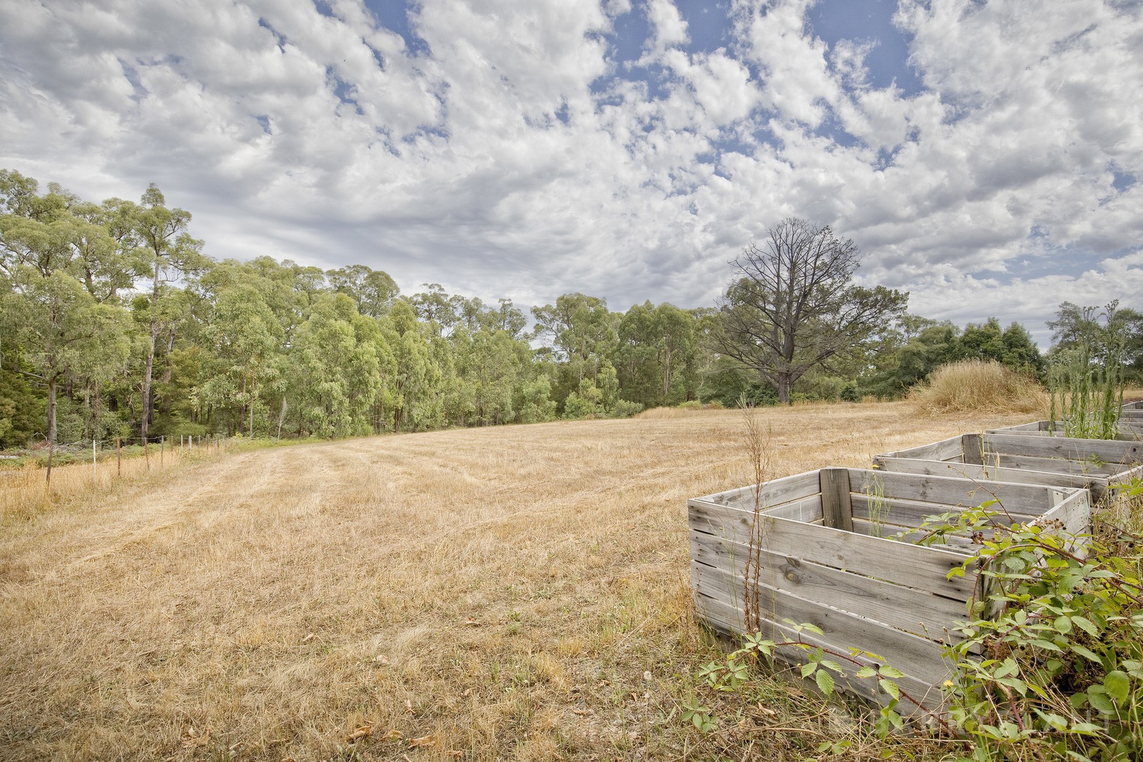29 Avon Road, Avonsleigh, VIC 3782, Avonsleigh - Thumbnail 4