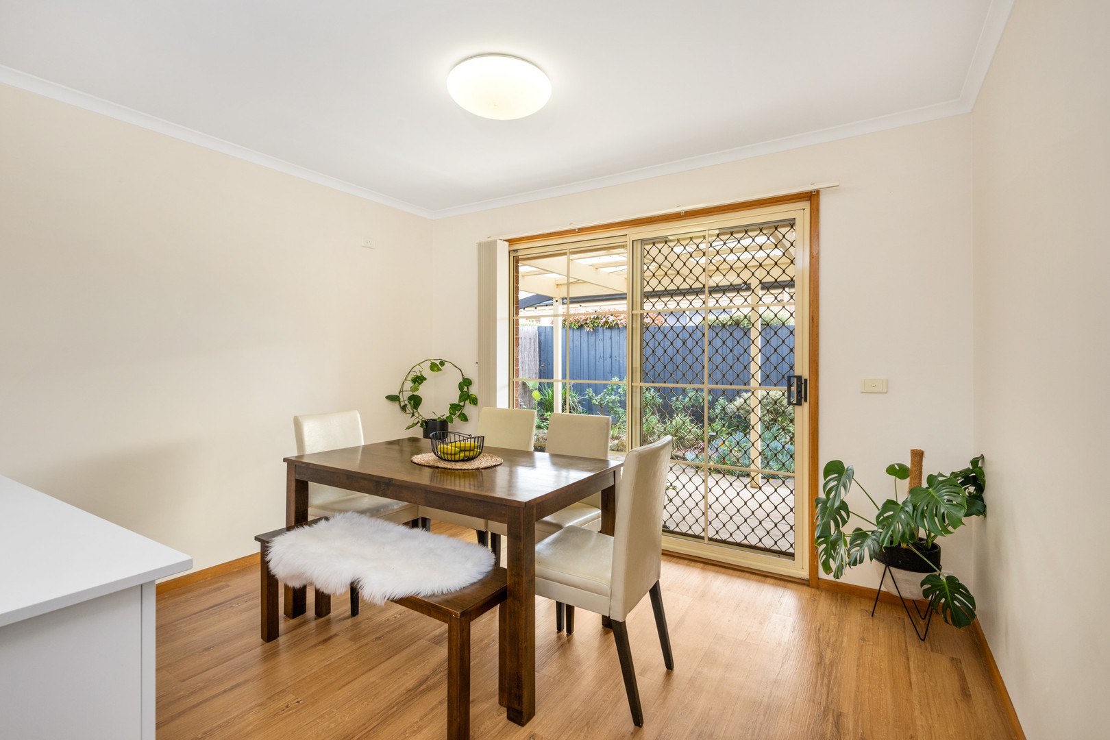 29 Burdekin Road, Highton, VIC 3216, Highton - Thumbnail 3