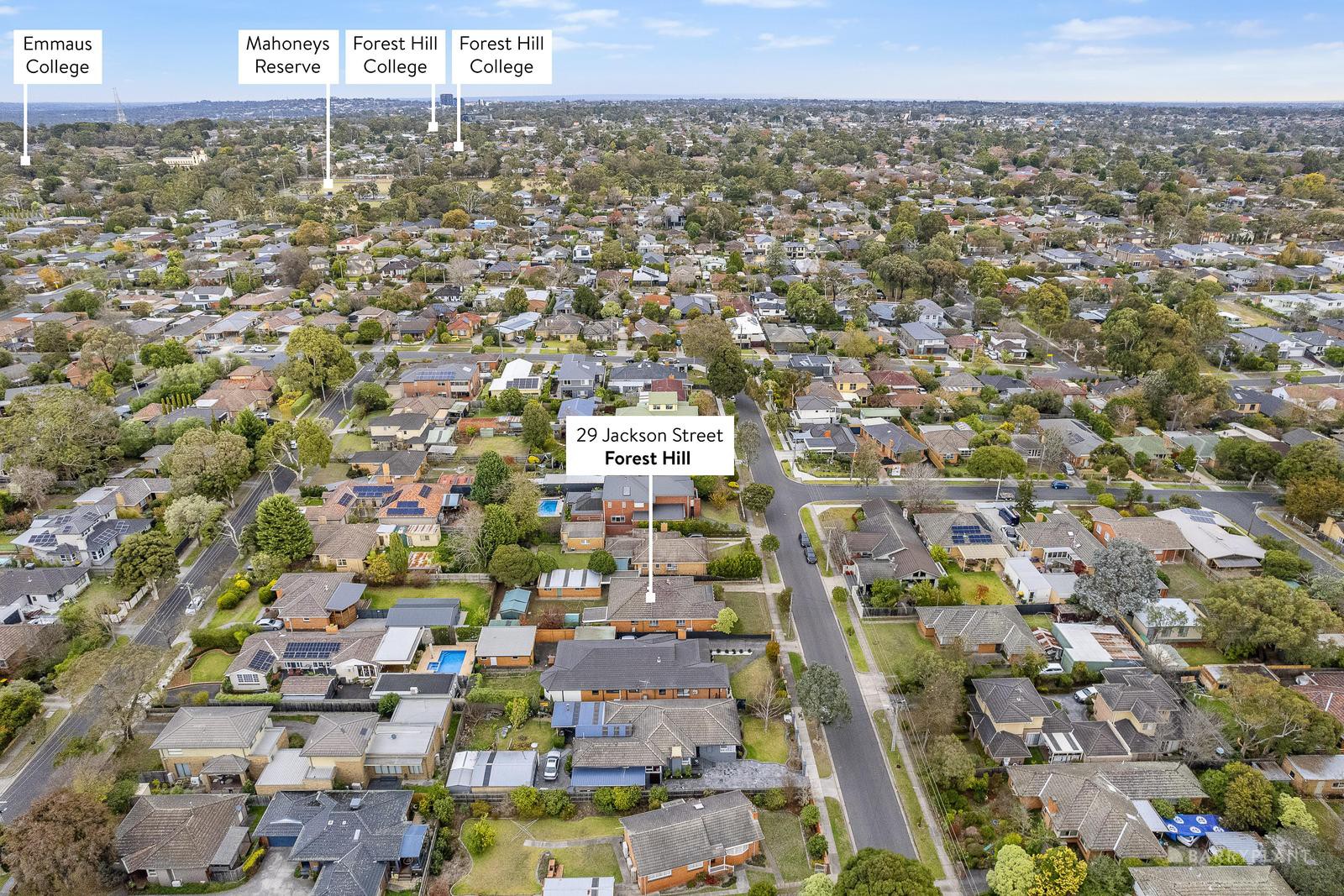 29 Jackson Street, Forest Hill, VIC 3131, Forest Hill - Thumbnail 7