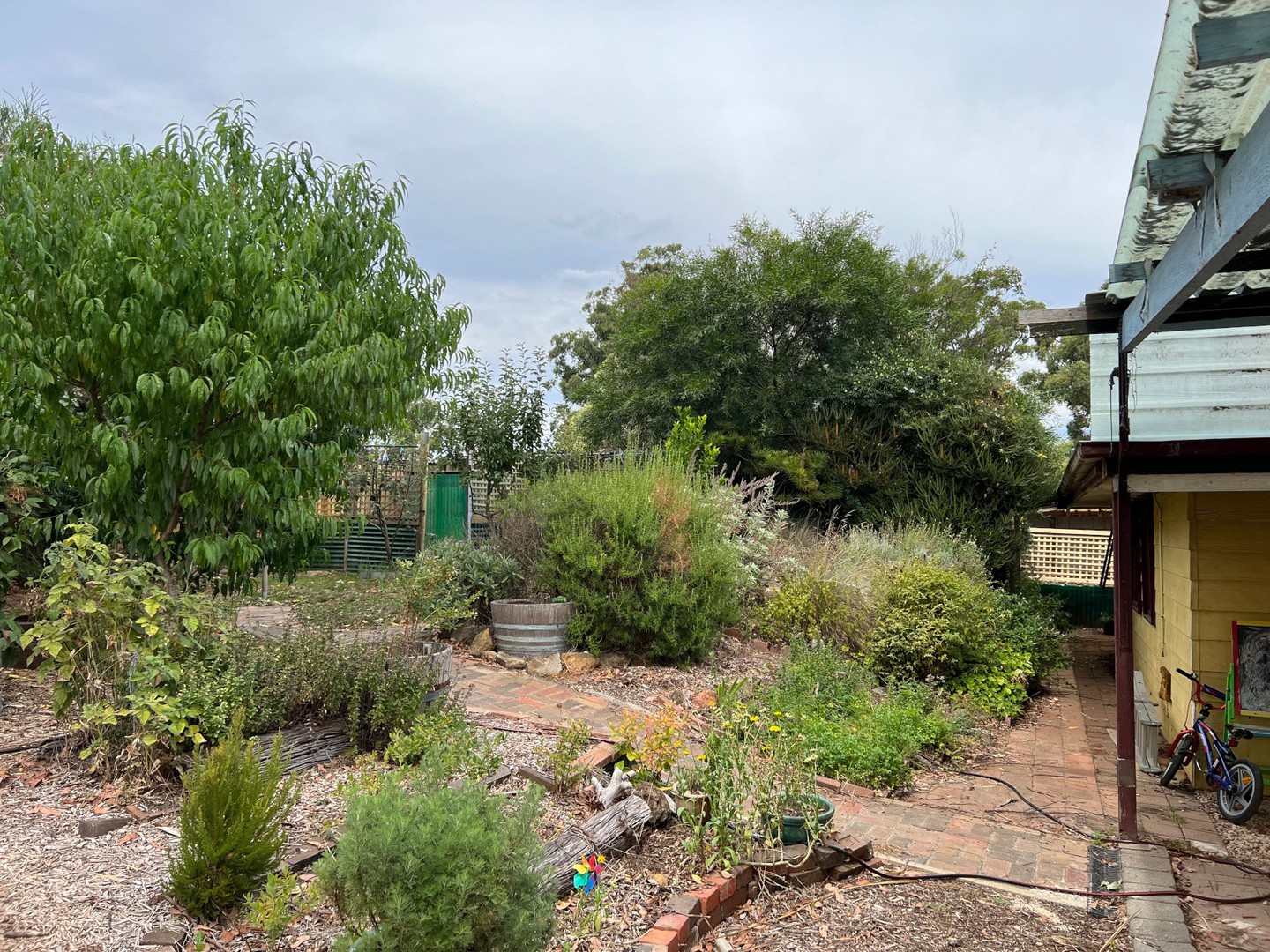 29 Springs St, Cockatoo, VIC 3781, Cockatoo - Thumbnail 5