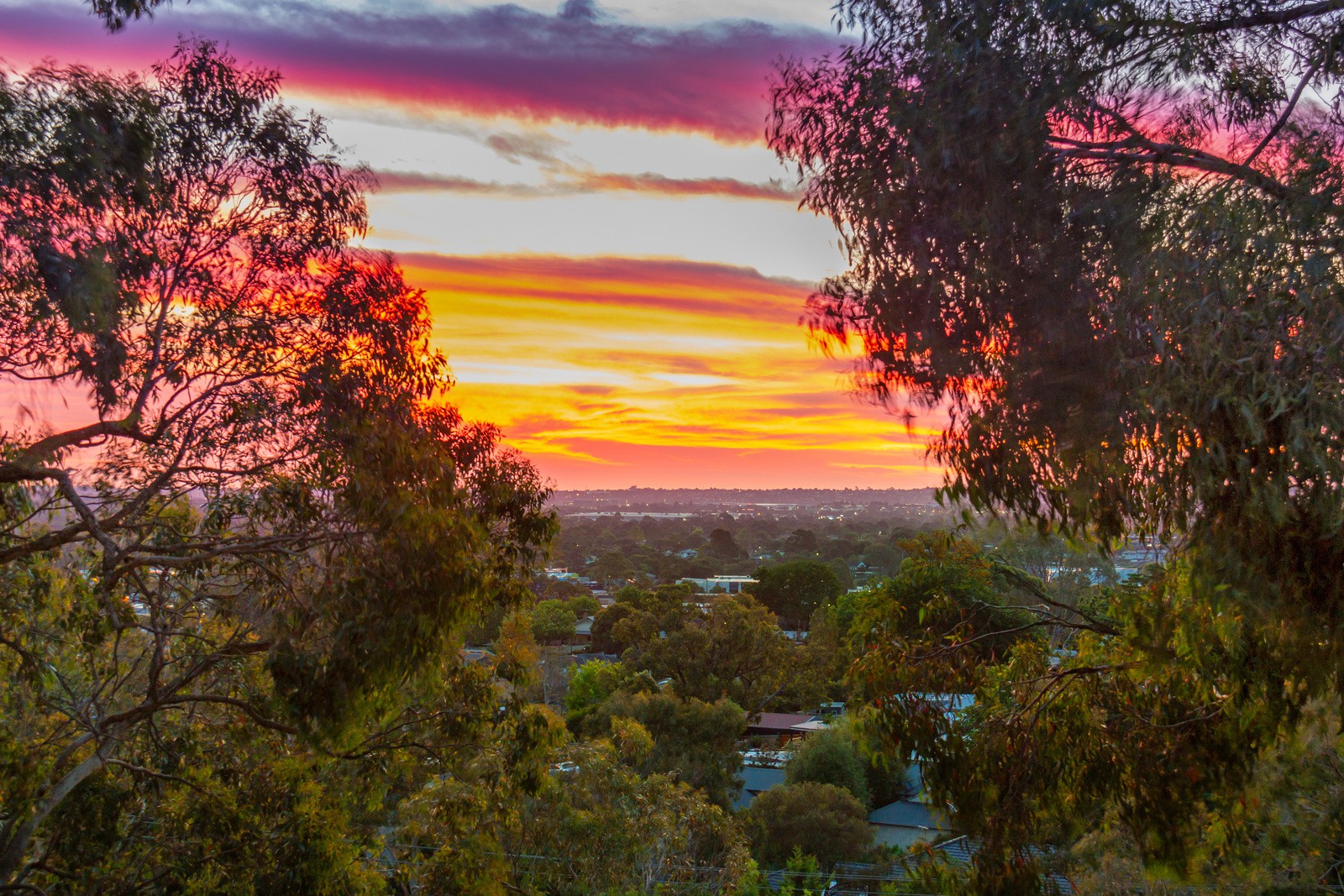 29 The Crescent, Ferntree Gully, VIC 3156, Ferntree Gully - Thumbnail 5