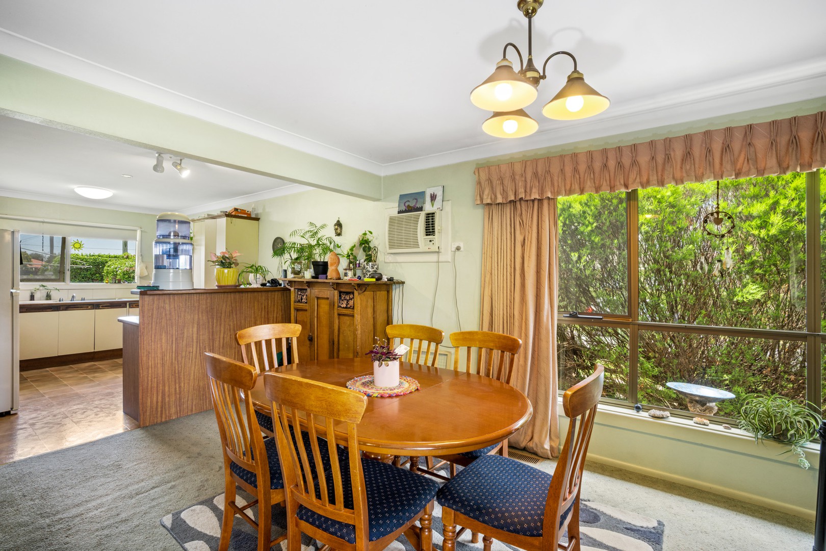 29 Truscott Street, Whittington, VIC 3219, Whittington - Thumbnail 5