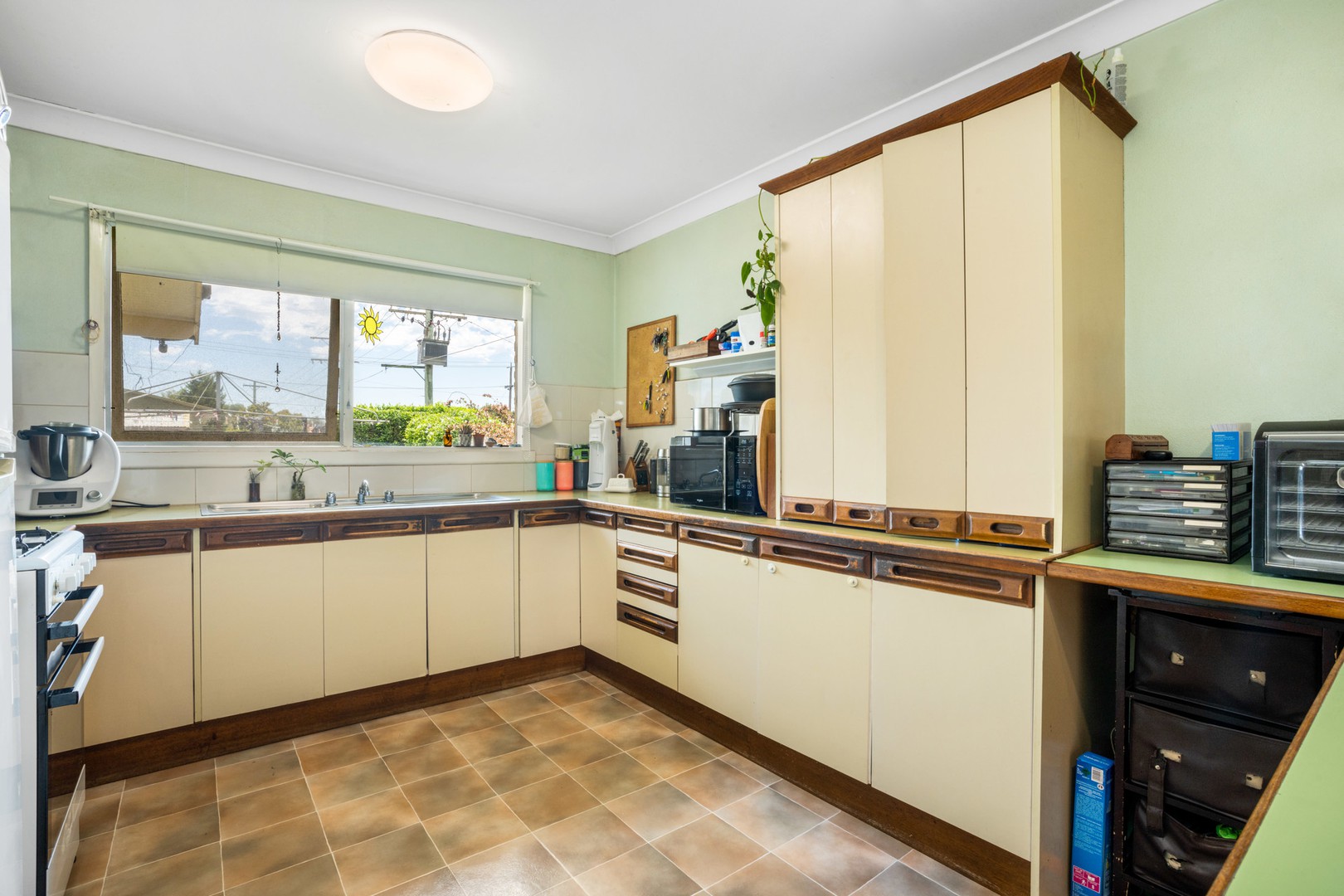 29 Truscott Street, Whittington, VIC 3219, Whittington - Thumbnail 6