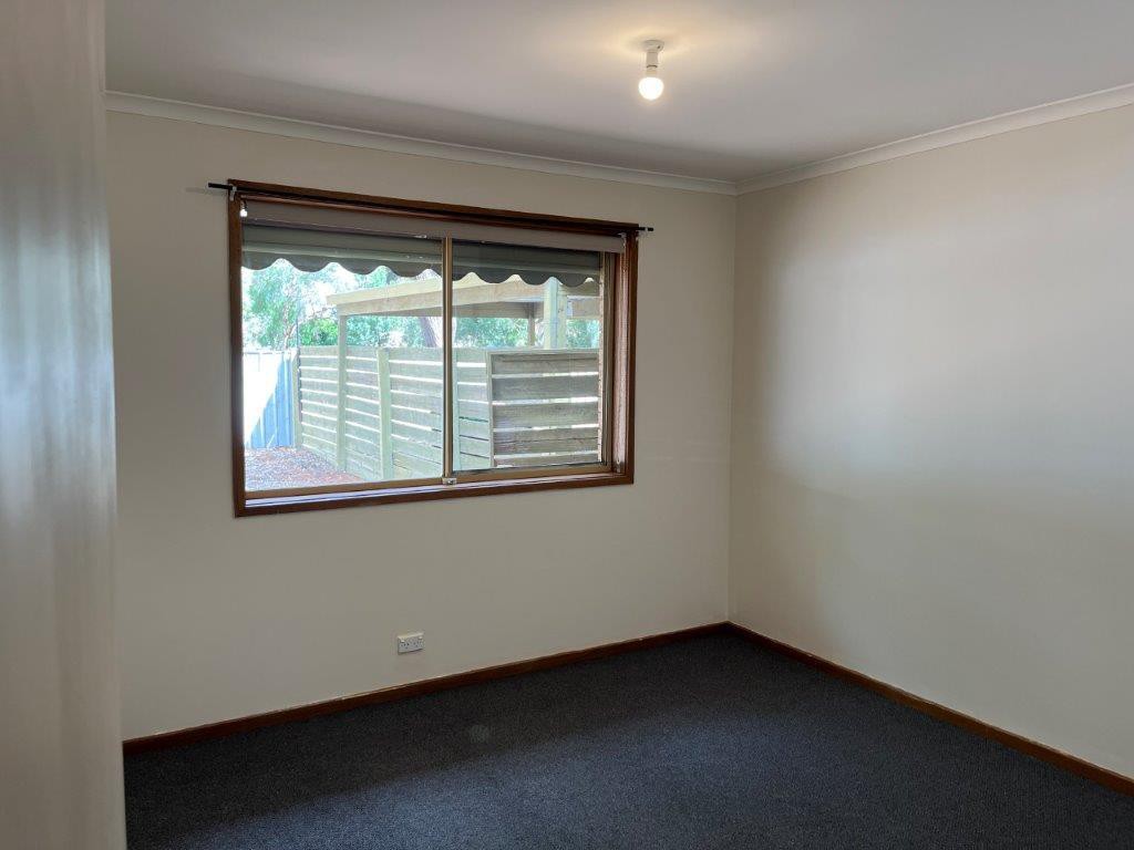 298 Ninth Street, Mildura, VIC 3500, Mildura - Thumbnail 8