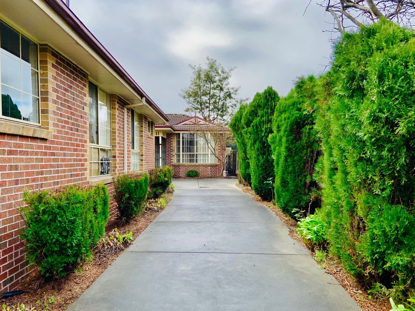 29A Kerr Street, Blackburn, VIC 3130, Blackburn - Thumbnail 4